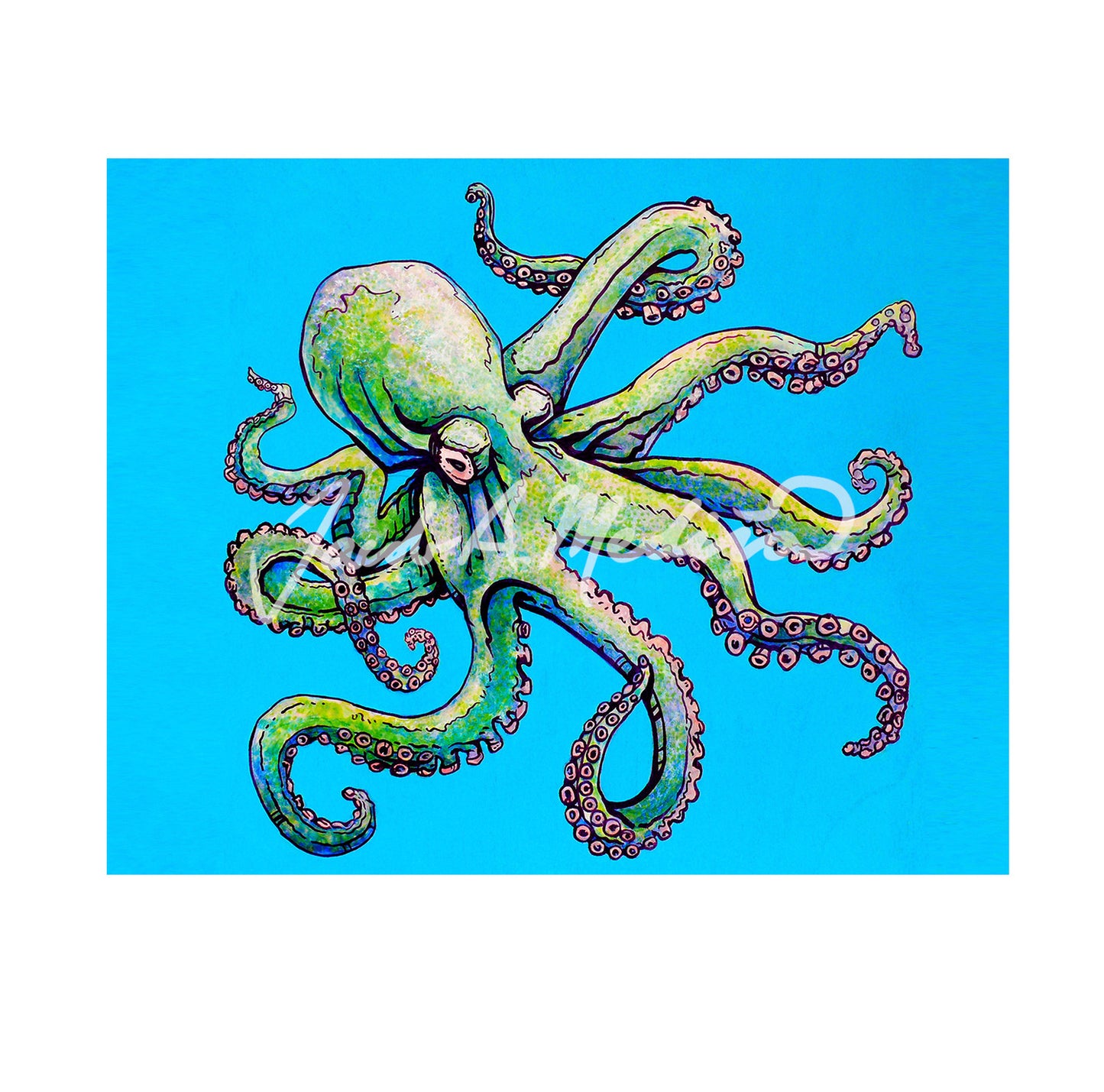 Octopus Art